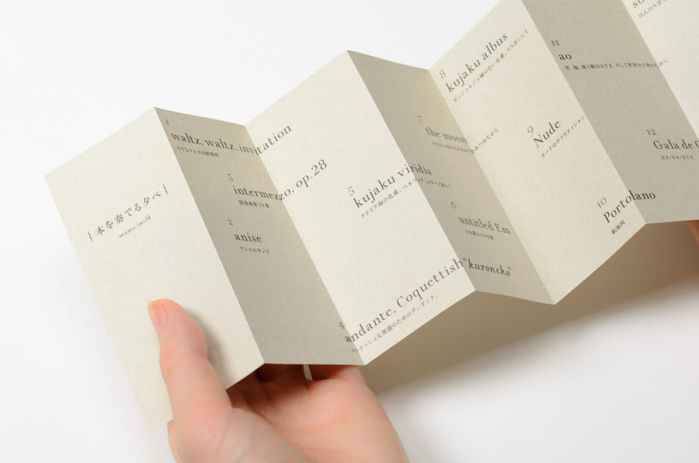 本の梯子 book ladder