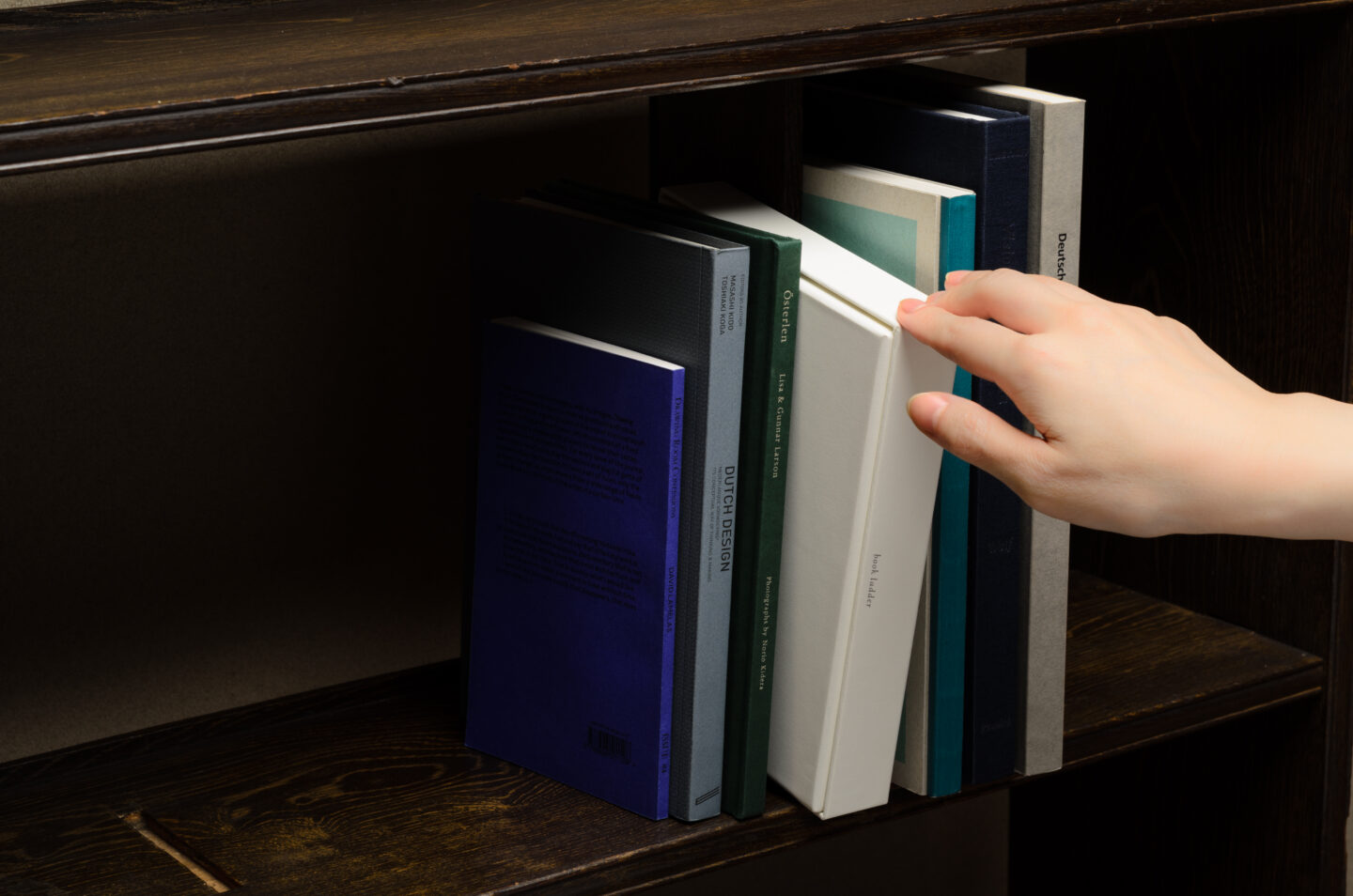 本の梯子 book ladder