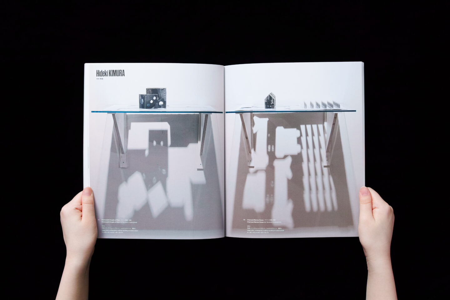 MIRROR/MIRROR—カナダ・日本 現代版画ドキュメント