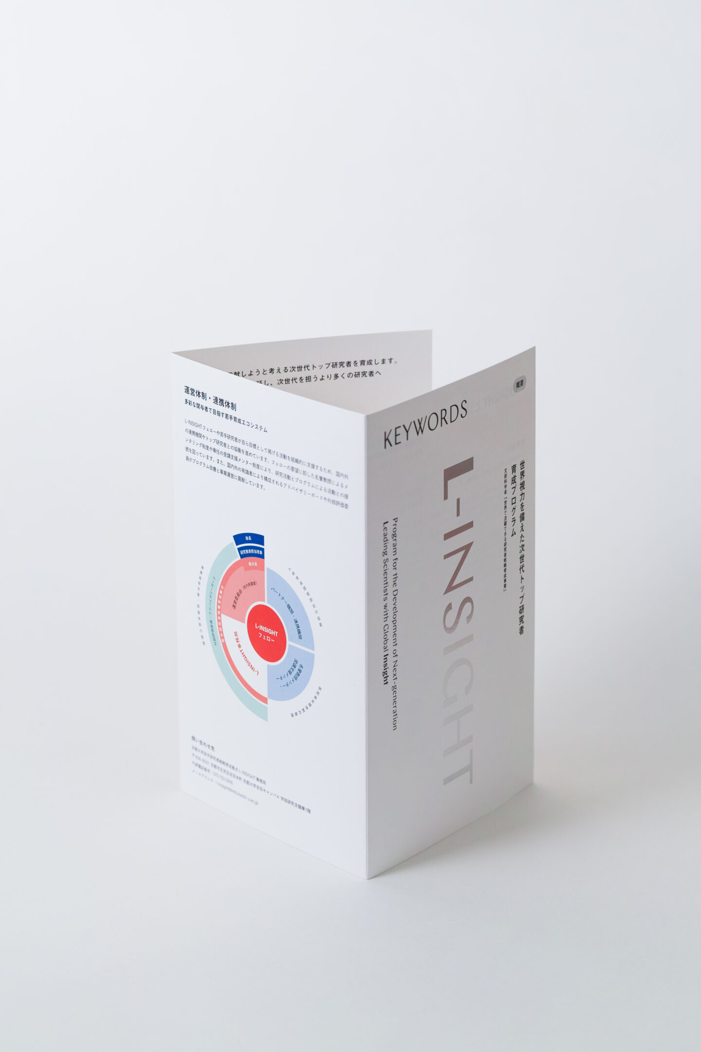 L-INSIGHT